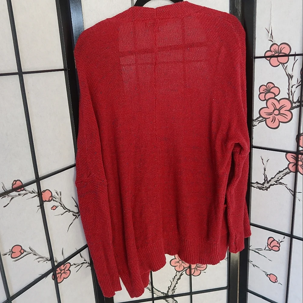 American Eagle Outfitters eagle cardigan outfitters